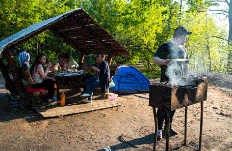 Moskovada online piknik yeri